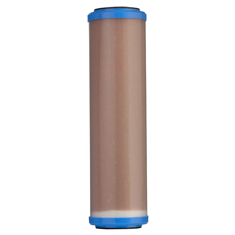 Картридж Pentek WS-10
